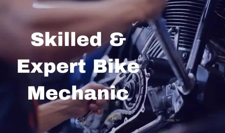 Expert bike mechanic